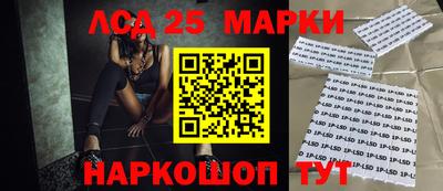 кокс Кингисепп