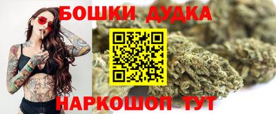 кокс Кингисепп