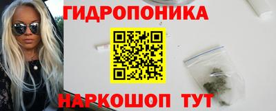 кокс Кингисепп