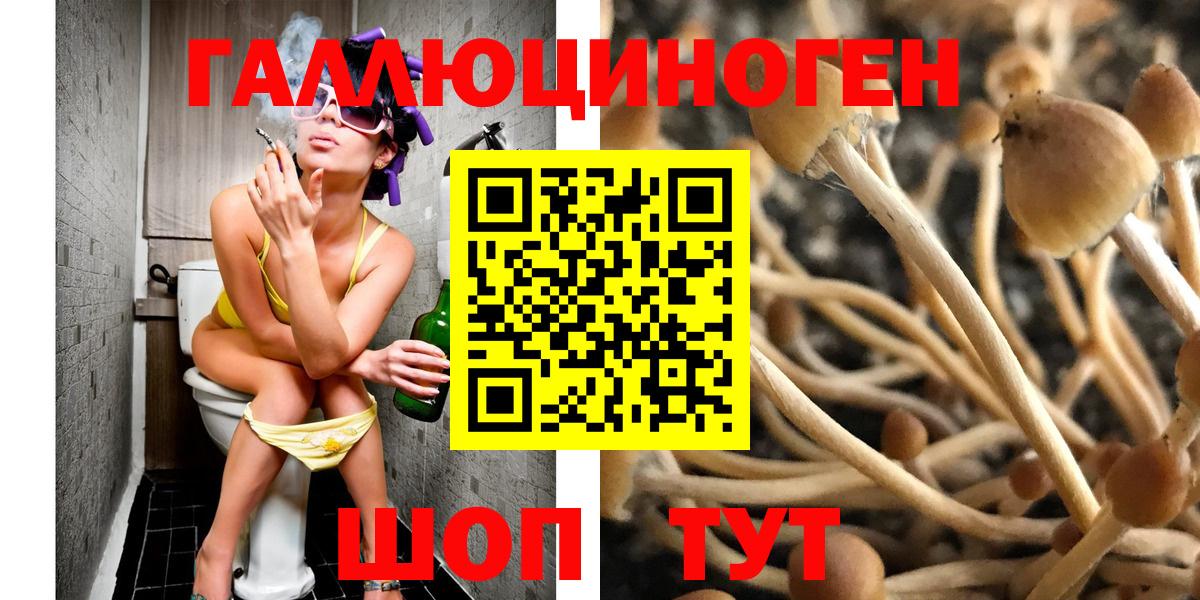 Галлюциногенные грибы Psilocybe Щёлково