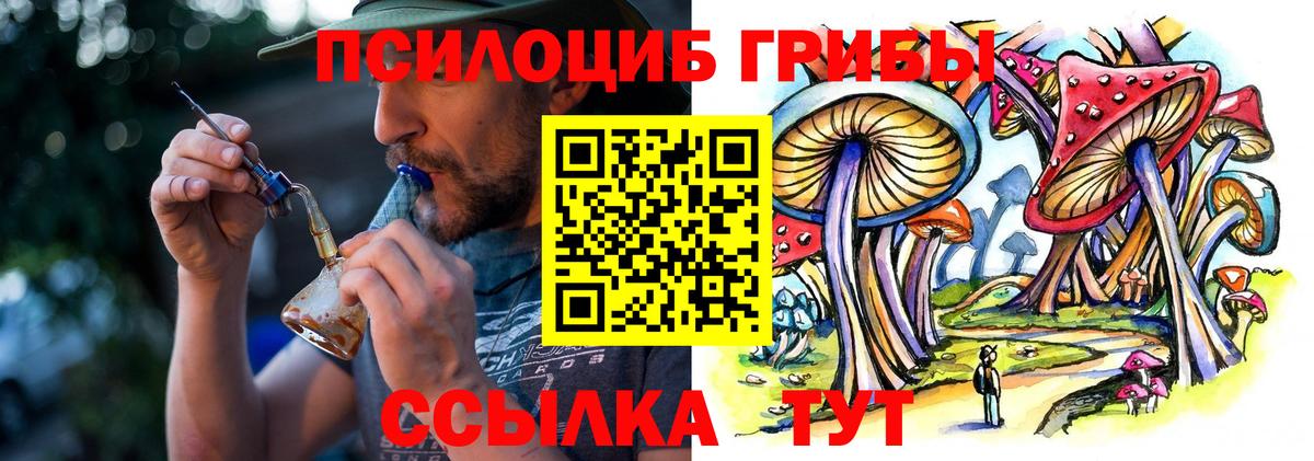 Псилоцибиновые грибы ЛСД  Псилоцибиновые грибы прущие грибы  Вход с VPN  Щёлково 